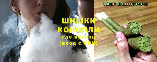 эйфоретик Богданович