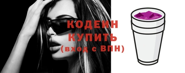 эйфоретик Богданович