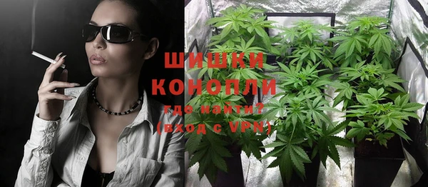 эйфоретик Богданович