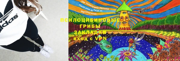 эйфоретик Богданович