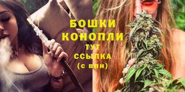 эйфоретик Богданович