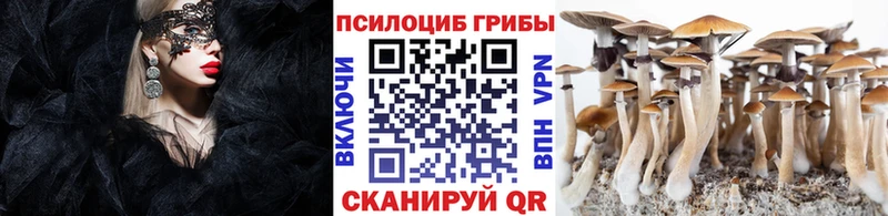 Галлюциногенные грибы MAGIC MUSHROOMS  Мелеуз 